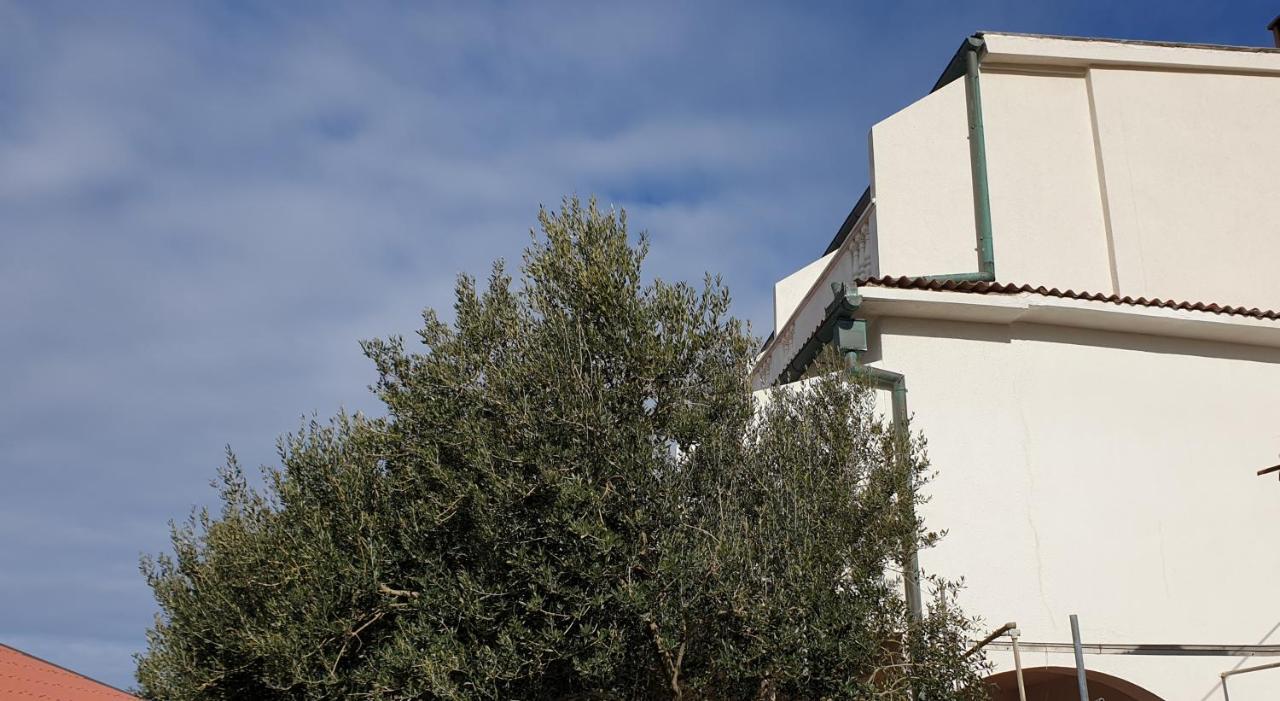 Bellavista Bed And Breakfast 帕格 外观 照片